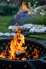 Fire Pit in the garden with flames and prepared food in background