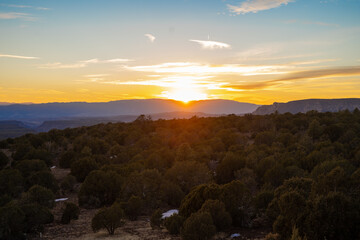 Arizona Nature Photography in the Winter