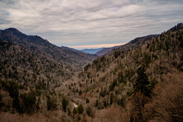 Great Smoky Mountains - Tennessee Nature Photography in the Winter