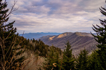 Great Smoky Mountains - Tennessee Nature Photography in the Winter