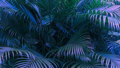 Naklejka na ściany i meble tropical green palm leaves black background