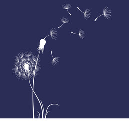 Flying dandelion seeds, vector icon. Vector isolated decoration element from scattered silhouettes.
