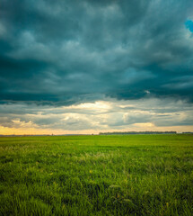 Sun setting paddy field