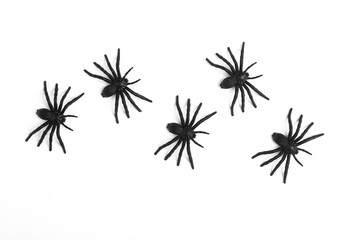 Plastic spiders on white background. Halloween decor. Top view
