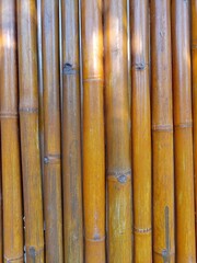 bamboo background with bamboo