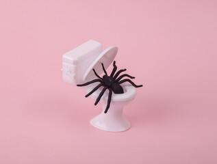 Mini toilet with spider on pink background. Arachnophobia