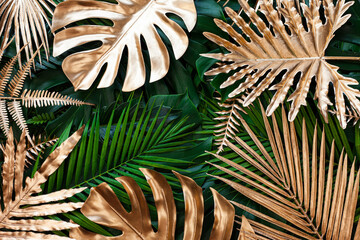 closeup nature view of gold and green tropical monstera and palm leaves. Creative nature pattern...