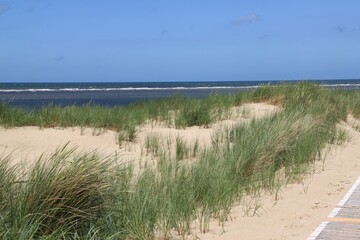 tufts of grass in the sand of the dunes of the german island langeoog with the north sea in the background