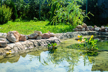 Small pond in the garden as landscaping design element.