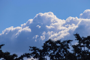 Black silhouettes of trees with foliage against the background of huge cumulus clouds in the blue sky, close up. Beautiful cloudscape