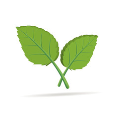 A leaf of a tree. 3d vector icon. 
The concept of ecology and nature protection.
 A cartoon-style image.