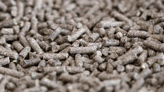 pellets of compound feed for feeding fish, animals and birds of poultry farms
