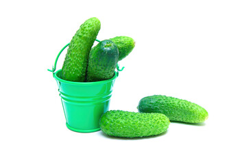 Bucket of freshly picked cucumbers on white