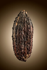 Cocoa pod, closeup on brown background.