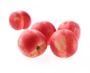 ネクタリン　　白バック