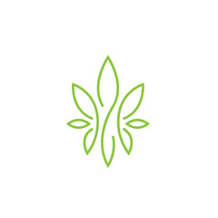 Cannabis