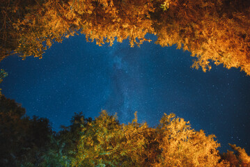 Fototapeta na wymiar Autumn Colors And Starry Sky
