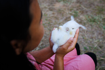 White adorable little bunny laying down in woman hands in the garden. Woman carrying and playing with her pet with love and tenderness. Symbol of Easter day.