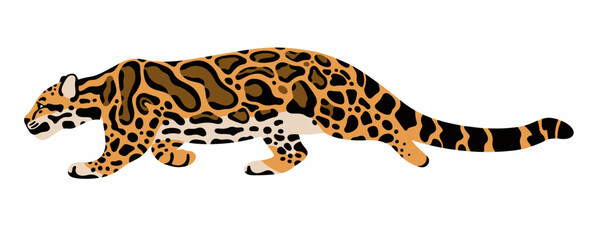 realistic clouded leopard vector illustration isolated on white background