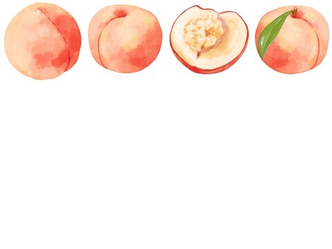 桃 イラスト Images Browse 3 353 Stock Photos Vectors And Video Adobe Stock