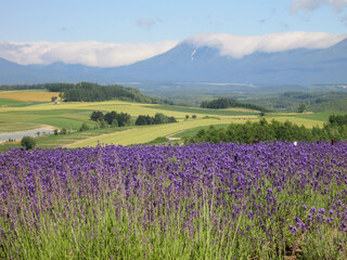 Landscape of Frano, Hokkaido in Japan