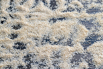 a large number of white dried sesame seeds