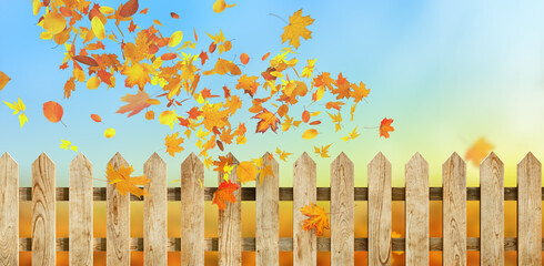 orange fall  leaves and wooden fence in backyard garden, autumn natural background