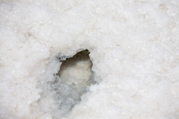 Bolivia. Salt lake and salt flat Salar de Uyuni, Bolivia. South America nature