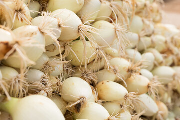 washed farm heads of onions