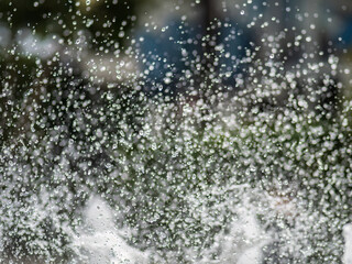 Fototapeta na wymiar Splashes of water on dark background. Water sprays in sunny day close-up.