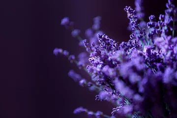 Tuinposter Close-up of lavender flowers, Soft focus on black © Nataliya