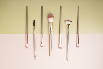 makeup brushes, professional decorative cosmetics, beauty accessories