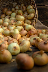 Fresh Red onion in basket on wooden table, top view, Organic food brown slices, still life rustic  raw cutting board outside wicker basket Bulb Food Ingredients local farmers market store