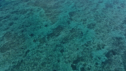 エメラルドブルーの珊瑚礁　空撮