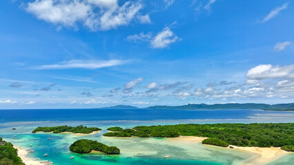 南国の海と森林　空撮