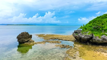 Fotobehang サンゴ礁のビーチ　空撮 © metamorworks