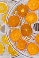 electric dryer for fruits and vegetables, close-up, oranges and persimmons lie on a round grate