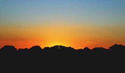 Silueta de las copas de encinas en el horizonte. Imagen tomada al atardecer con los últimos rayos del sol generando un cielo anaranjado mientras se pone sobre un bosque. Madrid, España.