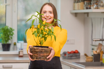 Smiling woman holding chili pepper plant in kitchen