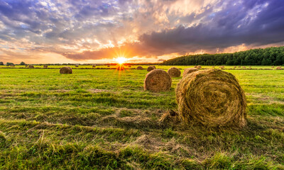 Scenic view at beautiful spring sunset in a green shiny field with green grass and golden sun rays,...