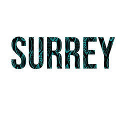 Surrey abstract Scandinavian leaves pattern