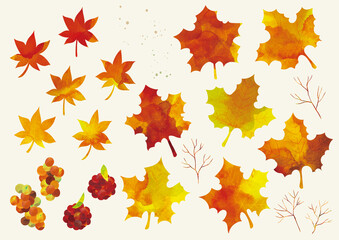 Fototapeta premium 紅葉 リーフ 秋 水彩素材セット 