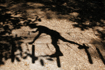 Shadow of a teenager in an adventure park