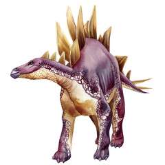 Stegosaurus illustration. Watercolor realistic dinosaur isolated on white background. Hand painted illustration © Hanna
