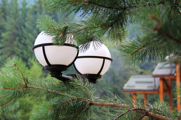 Round street lamps in a pine tree branches in front of wooden gazebo