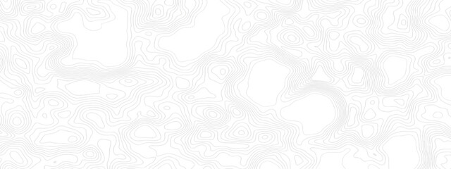 White wave paper curved reliefs abstract background. Topographic map patterns, topography line map. Vintage outdoors style