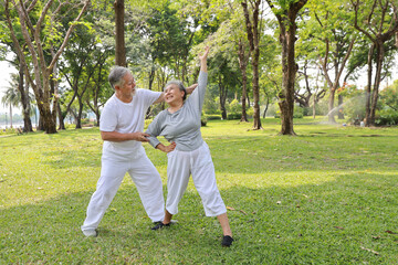 Asian senior couple practice yoga excercise, tai chi tranining, stretching and meditation together with relaxation for healthy in park outdoor after retirement. Happy elderly outdoor lifestyle concept