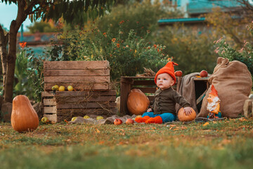 Halloween. Cute toddler boy in costume of dwarf sitting in kitchen-garden. Pumpkins and wooden...