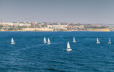 Fototapeta na wymiar Small training sailing boats sail the bay of Sevastopol