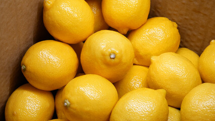 Close-up of many beautiful ripe lemons in a carton box